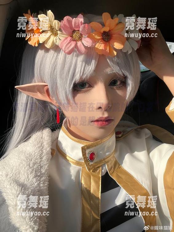 高清写真：腥味猫罐在四方院的“日常”，真的是超有趣！